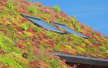 Southington living roof systems